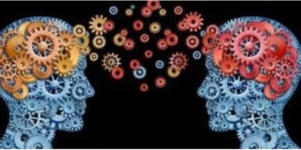 Warsztaty dla uczniów 